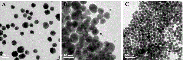 Thrombin detection method based on bio-dots and Au NPs fluorescence resonance energy transfer
