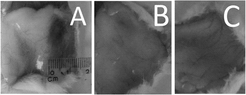 Uses of organic-inorganic hybrid polyanoxometalate compounds