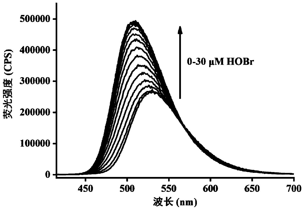 Rapid high-selectivity hypobromous acid fluorescence probe, and preparation method and application thereof