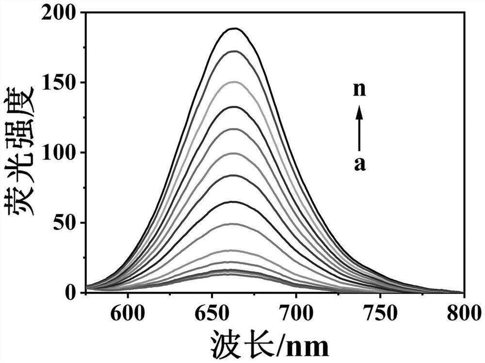 Fluorescent probe for environment detection as well as preparation method and application of fluorescent probe