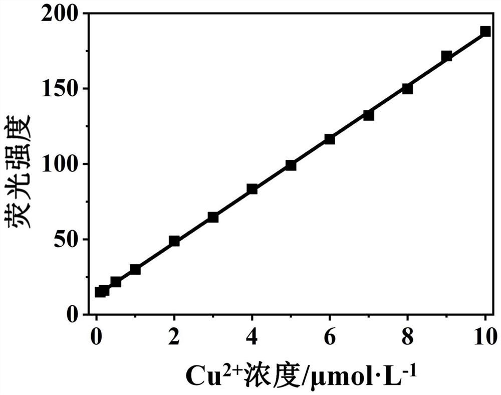 Fluorescent probe for environment detection as well as preparation method and application of fluorescent probe