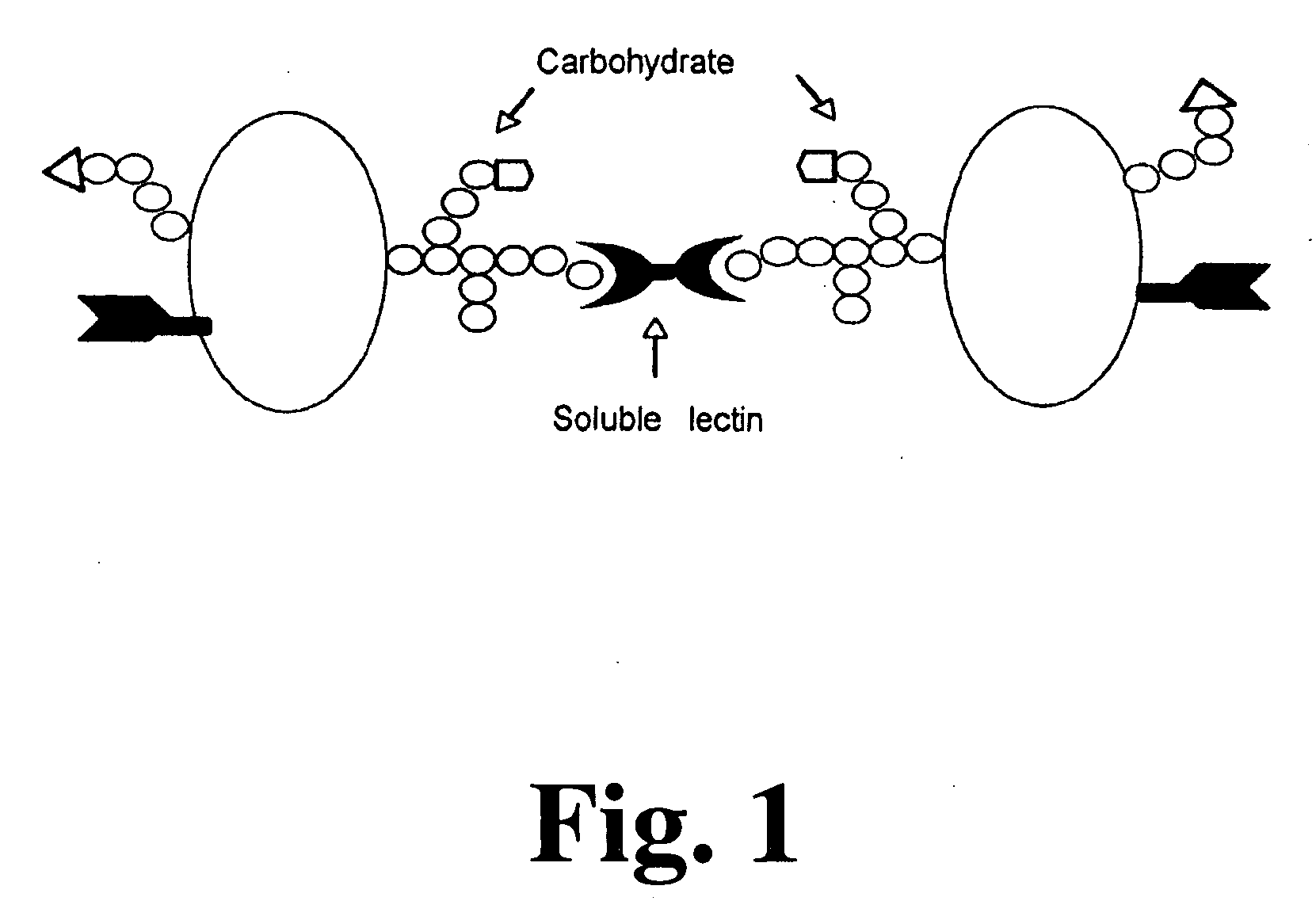 Method and assay for early diagnosis of prostate cancer