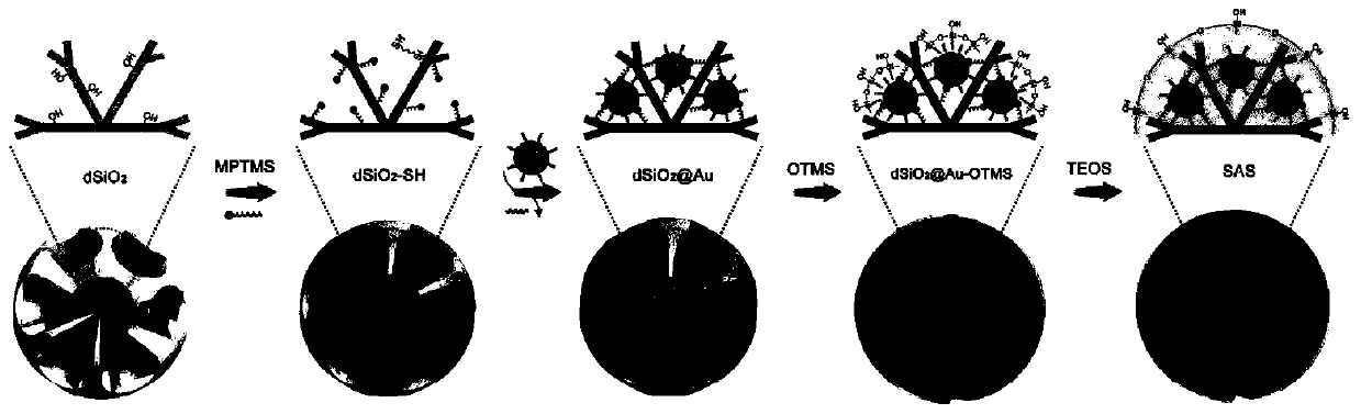 Optical probe based on gold nanoparticle efficient assembly structure, and preparation method and application of optical probe