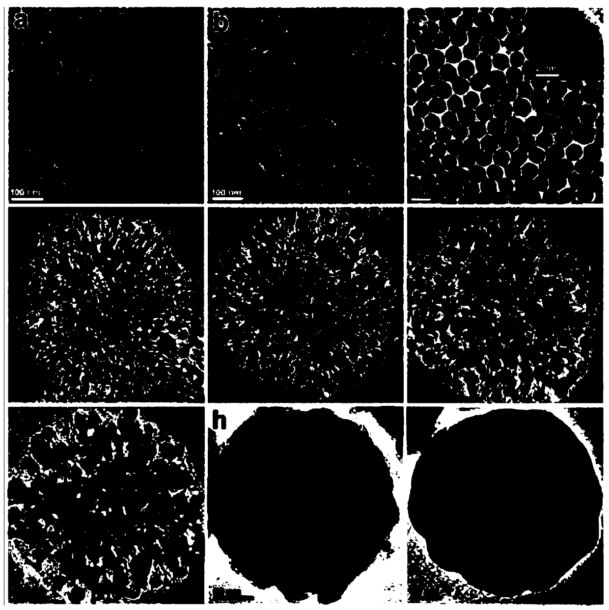 Optical probe based on gold nanoparticle efficient assembly structure, and preparation method and application of optical probe