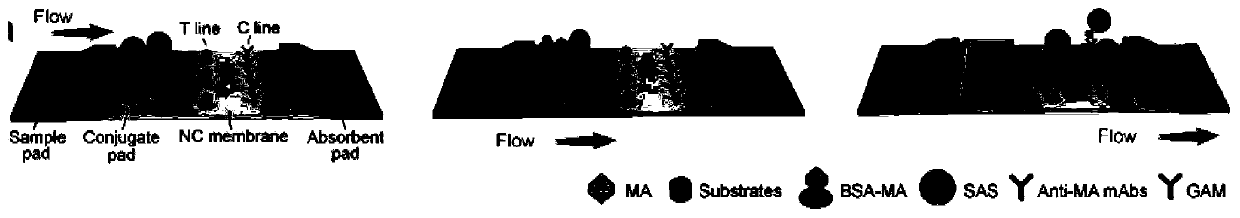 Optical probe based on gold nanoparticle efficient assembly structure, and preparation method and application of optical probe