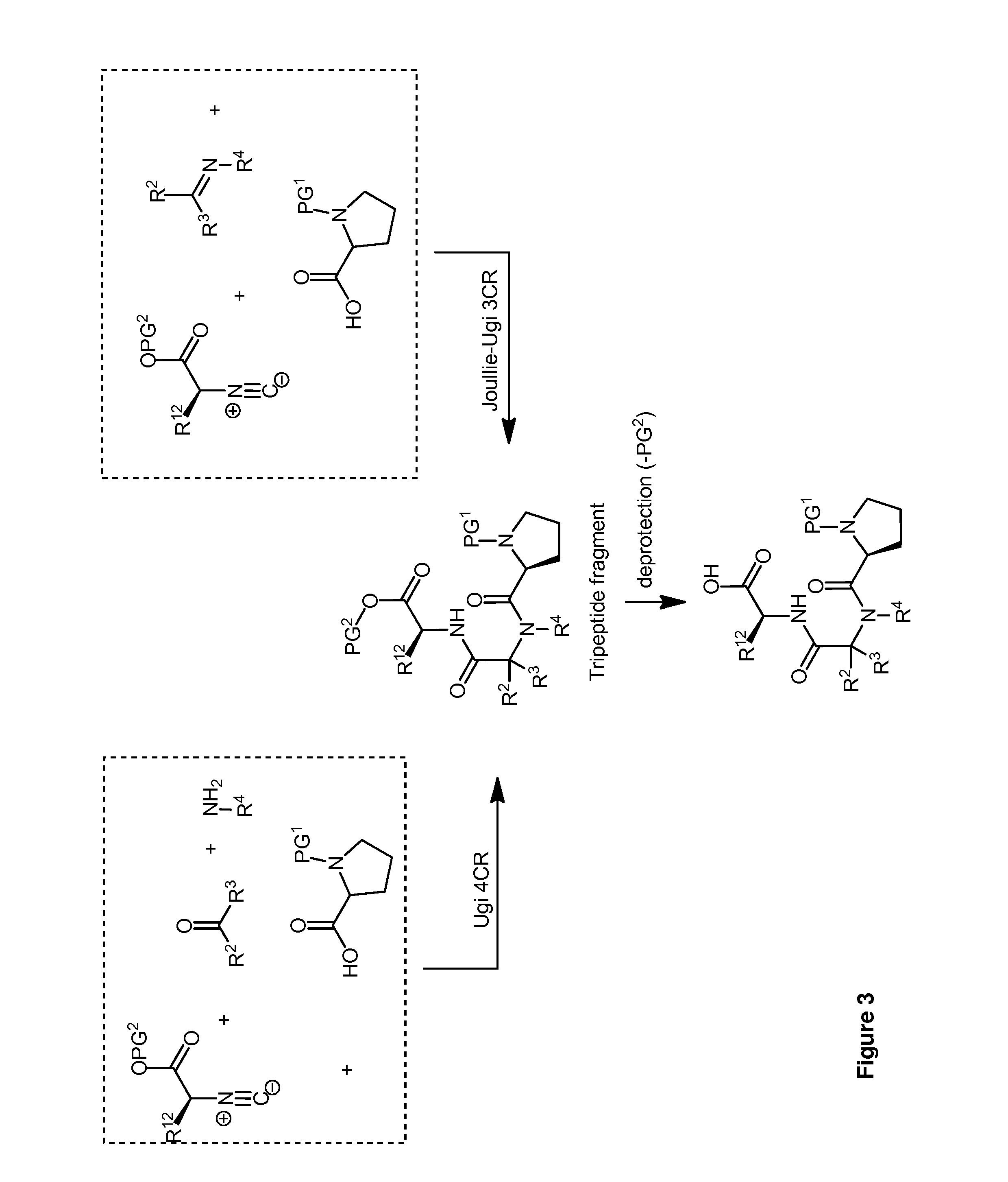 Enopeptins, uses thereof, and methods of synthesis thereto