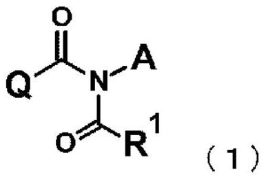 Imide derivative and bactericide containing same as active ingredient