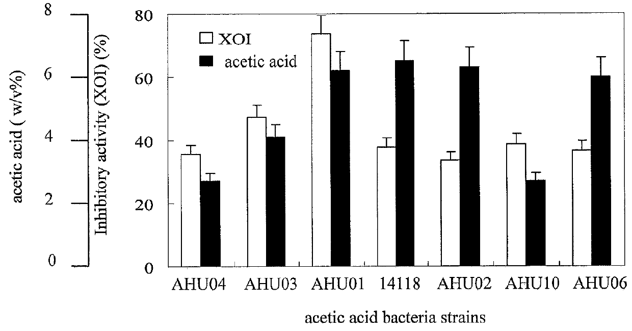 Novel acetobacter and gluconacetobacter strains and their metabolites for use in inhibiting xanthine oxidase