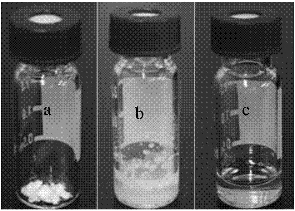 Huperzine a lyotropic liquid crystal preparation and preparation method thereof