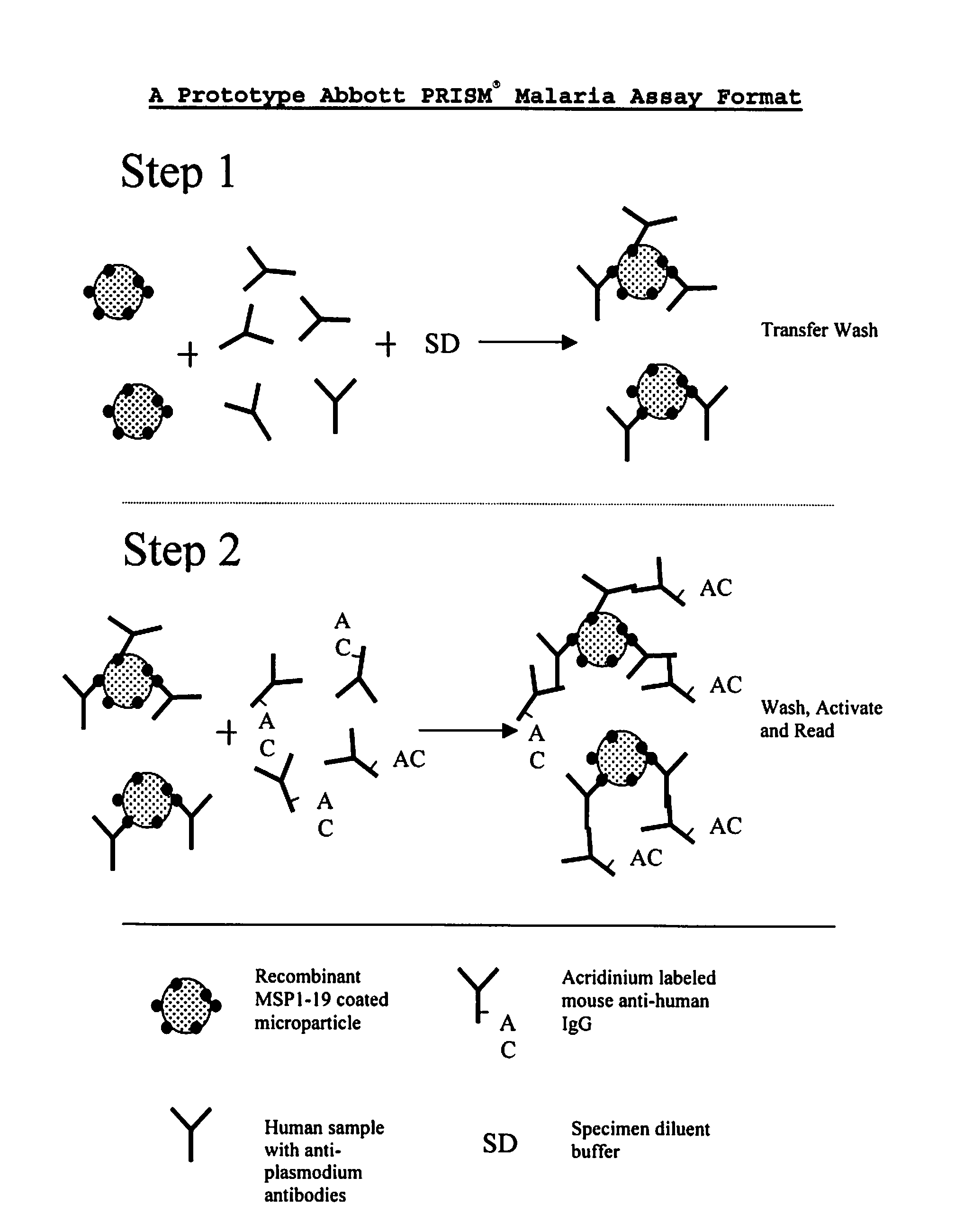 Plasmodium malariae and plasmodium ovale genes and uses thereof