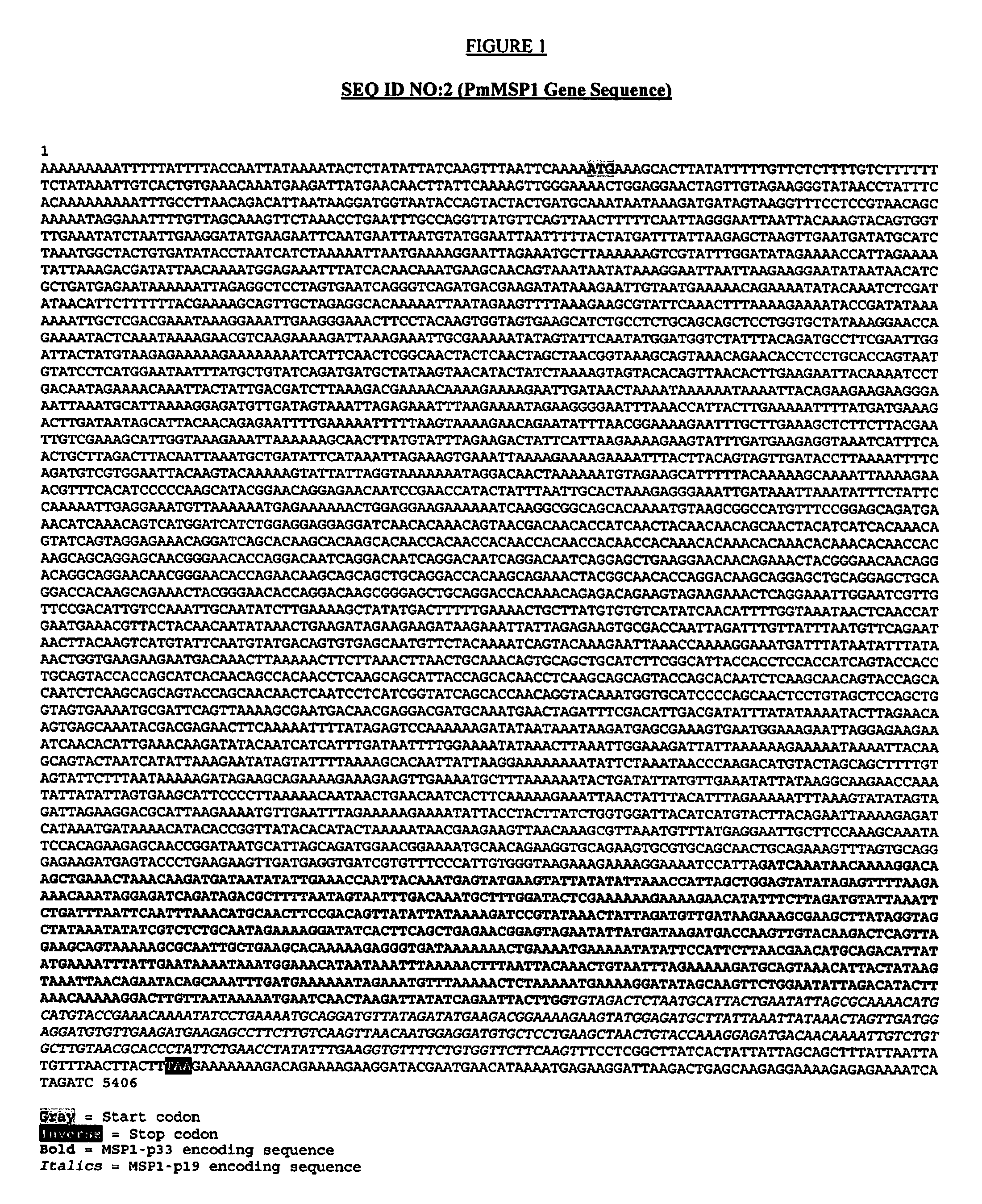 Plasmodium malariae and plasmodium ovale genes and uses thereof