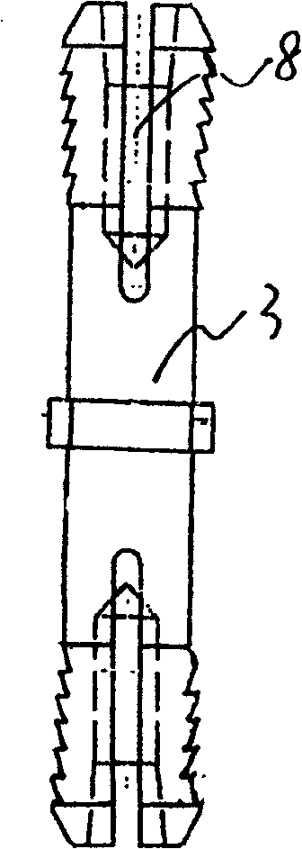 Double-end inserting expansion meshing body pile connecting end plate and prefab