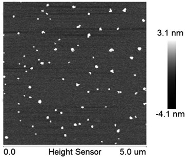 Intelligent gas-phase anti-oxidation film containing rosemary temperature-sensitive lipidosome and preparation method thereof