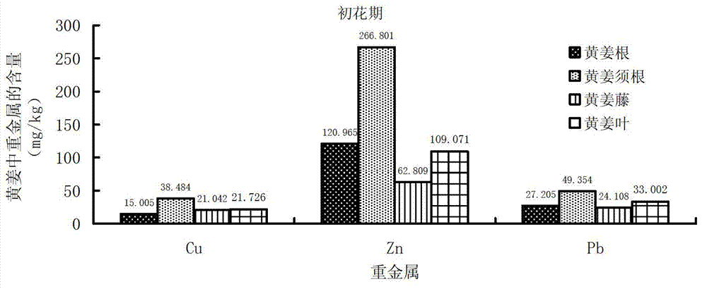 Method of repairing heavy metal contaminated soil by utilizing turmeric