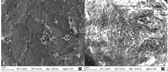 Preparation method of polyaniline/carboxylated graphene composite material