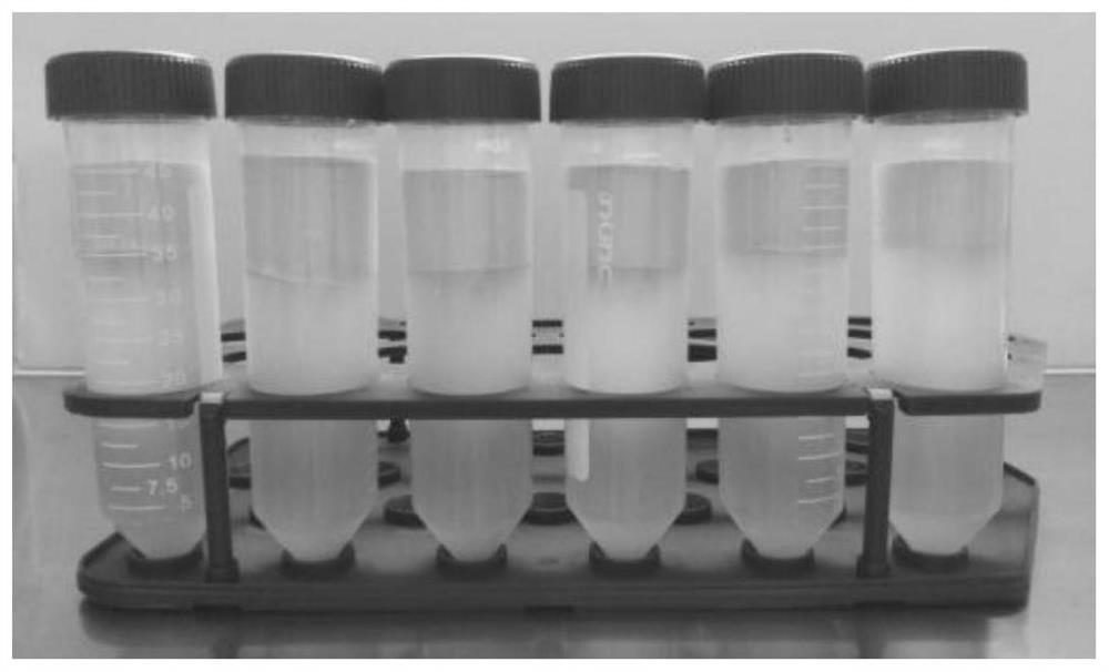 Method for preparing human adipose-derived stem cell membrane based on warm dish