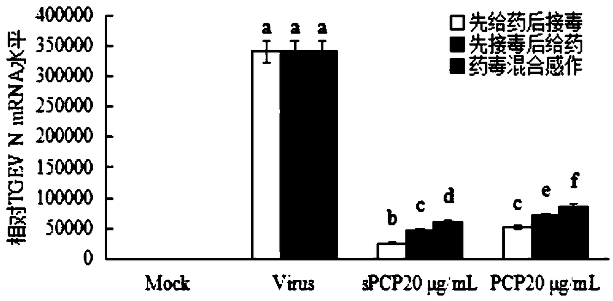 Sulfated Polygonum ciliinerve polysaccharide product with effect of preventing piglet diarrhea and application thereof