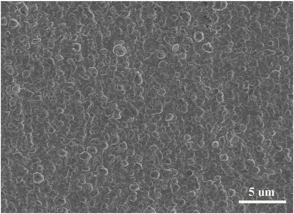 Surface metallization nickel plating method for nylon material based on laser sintering forming