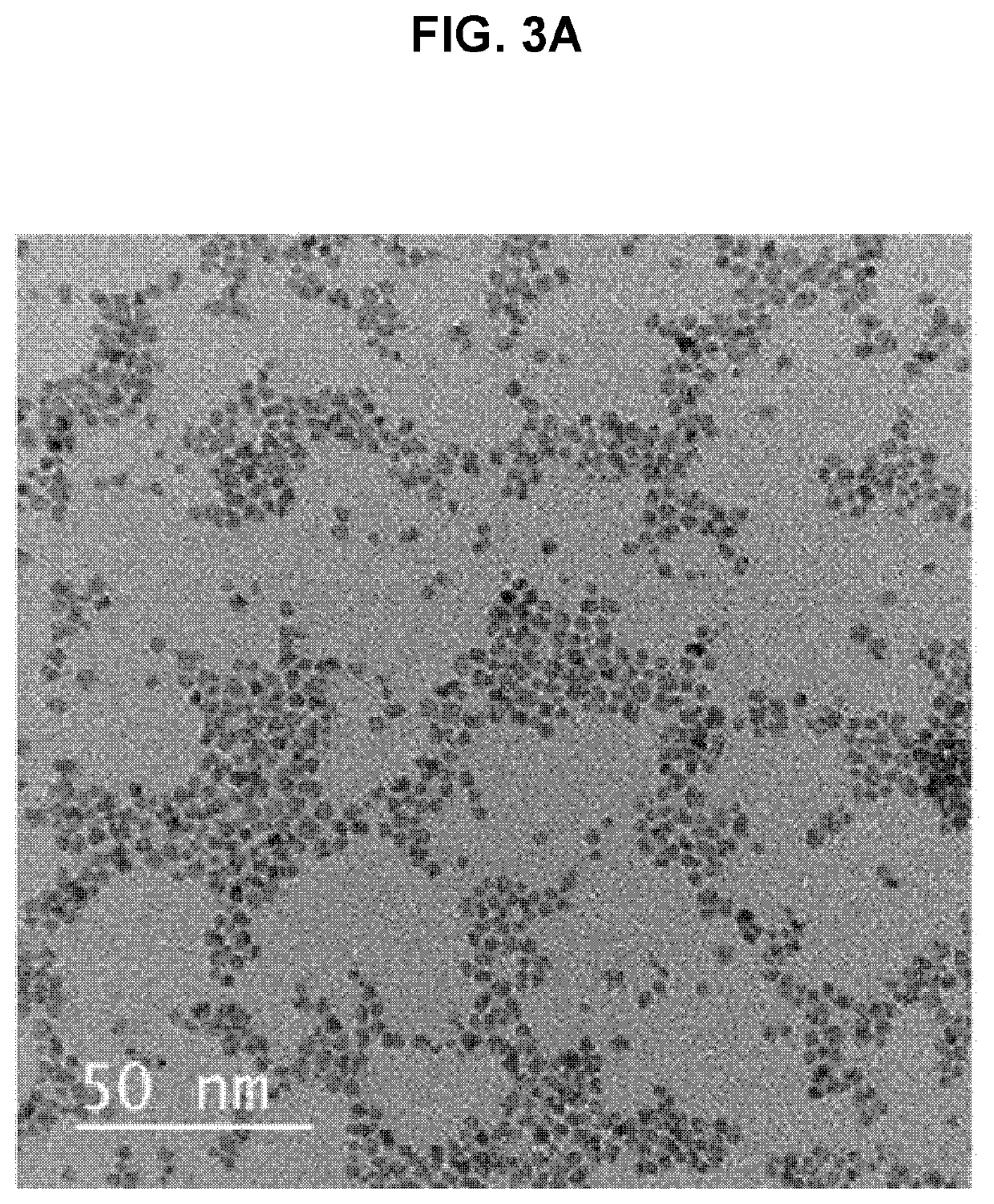 Ceria nanoparticles and ceria nanoparticles preparation method