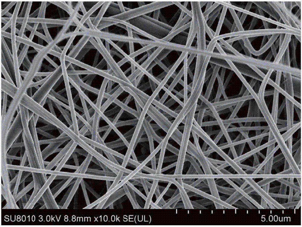 Compound bacteriostatic packaging film for meat product preservation and preparation method thereof