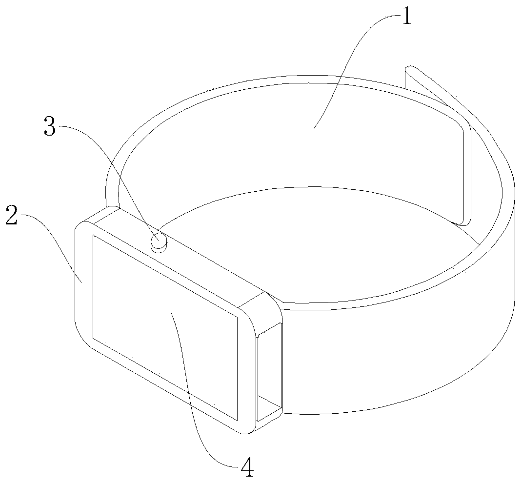 Multifunctional information collection wristband and use method thereof