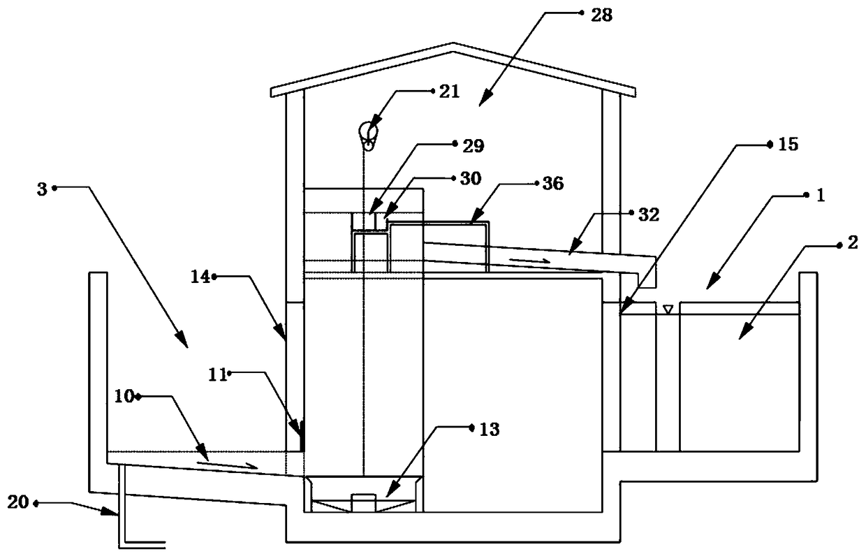 System and method for observing, collecting and sorting fish passing through a fishway