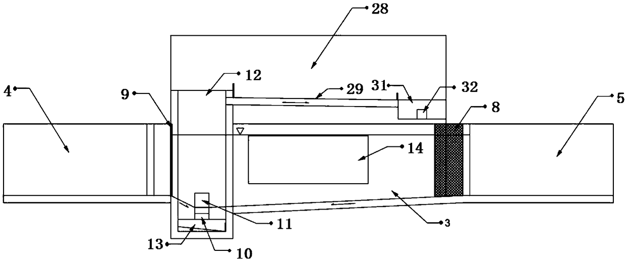 System and method for observing, collecting and sorting fish passing through a fishway