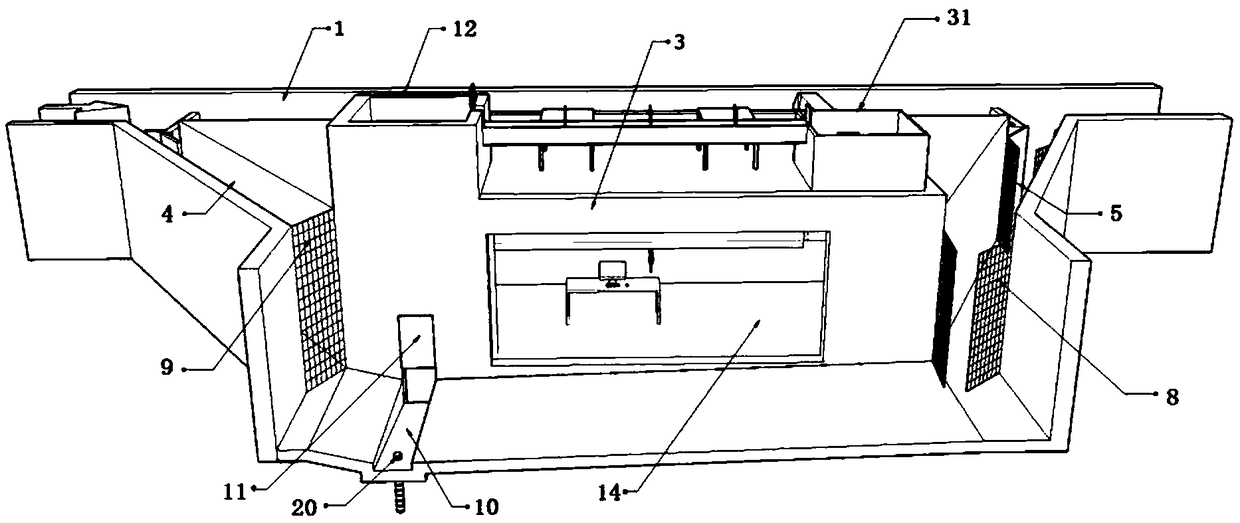 System and method for observing, collecting and sorting fish passing through a fishway
