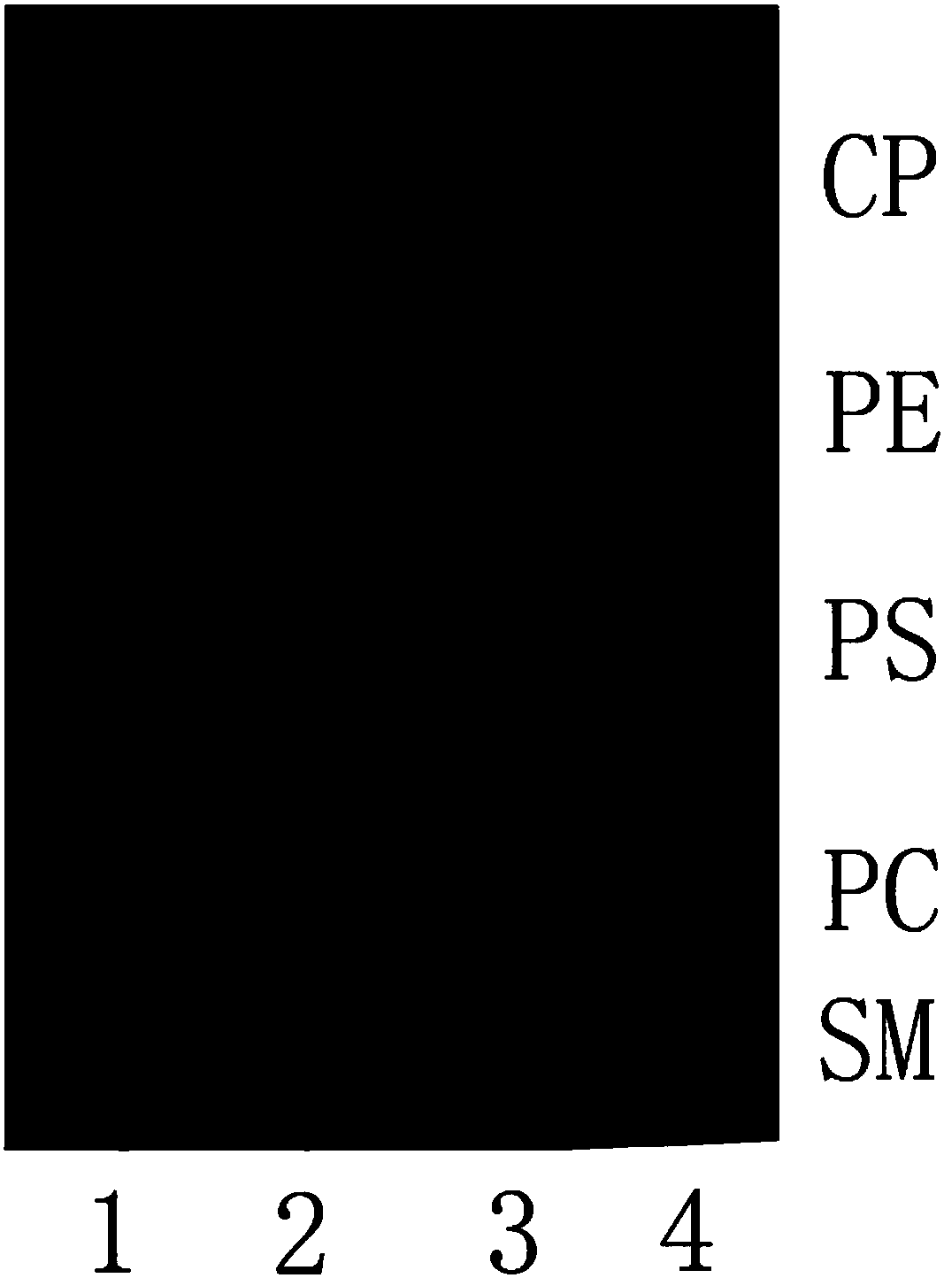 Method for extracting high-purity omega-3 polyunsaturated fatty acid phospholipids from shrimp head