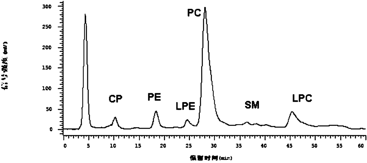 Method for extracting high-purity omega-3 polyunsaturated fatty acid phospholipids from shrimp head