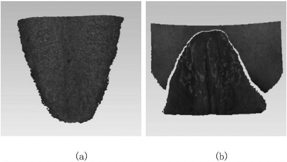 Imaging light space tracking lingual surface colored three-dimensional imaging method and system