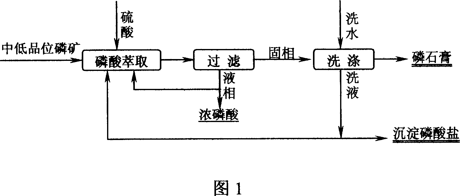 Process for preparing high concentration phosphoric acid from middle-and low-grade phosphorus ore
