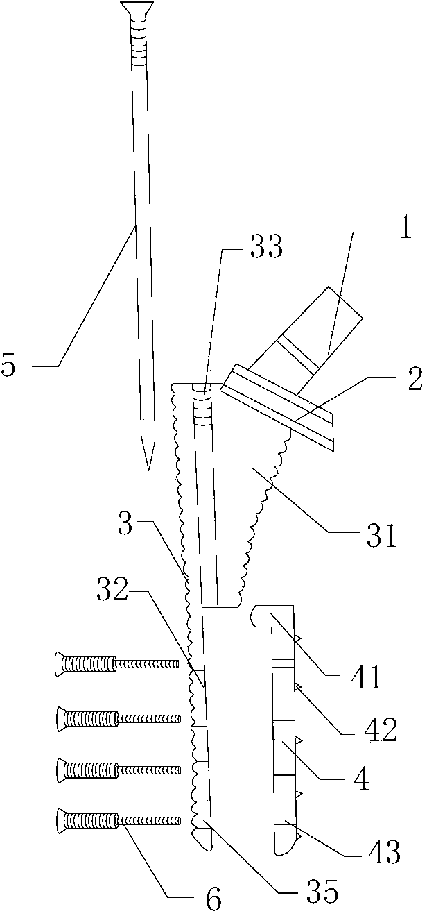 Biotype artificial hip joint femoral component