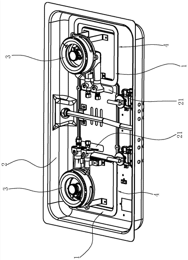 An anti-insect gas stove