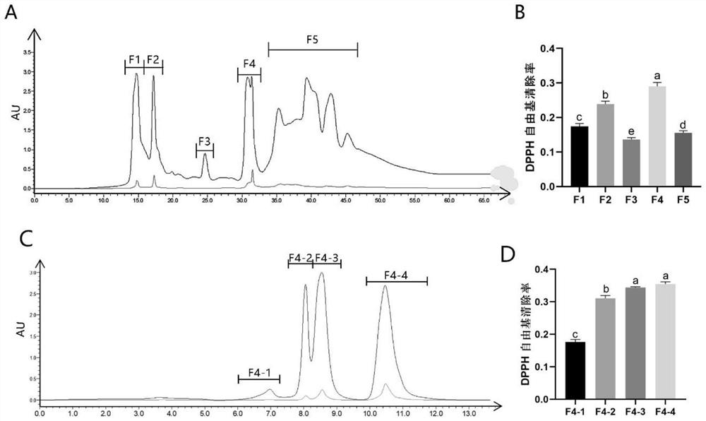 Screening method of functional peptide