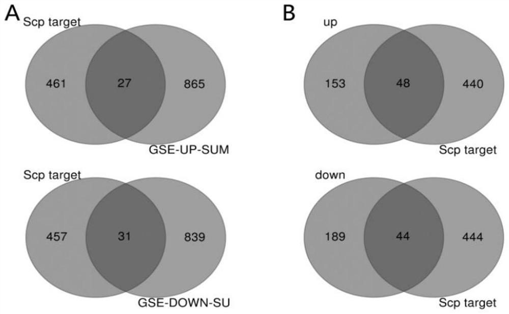 Screening method of functional peptide