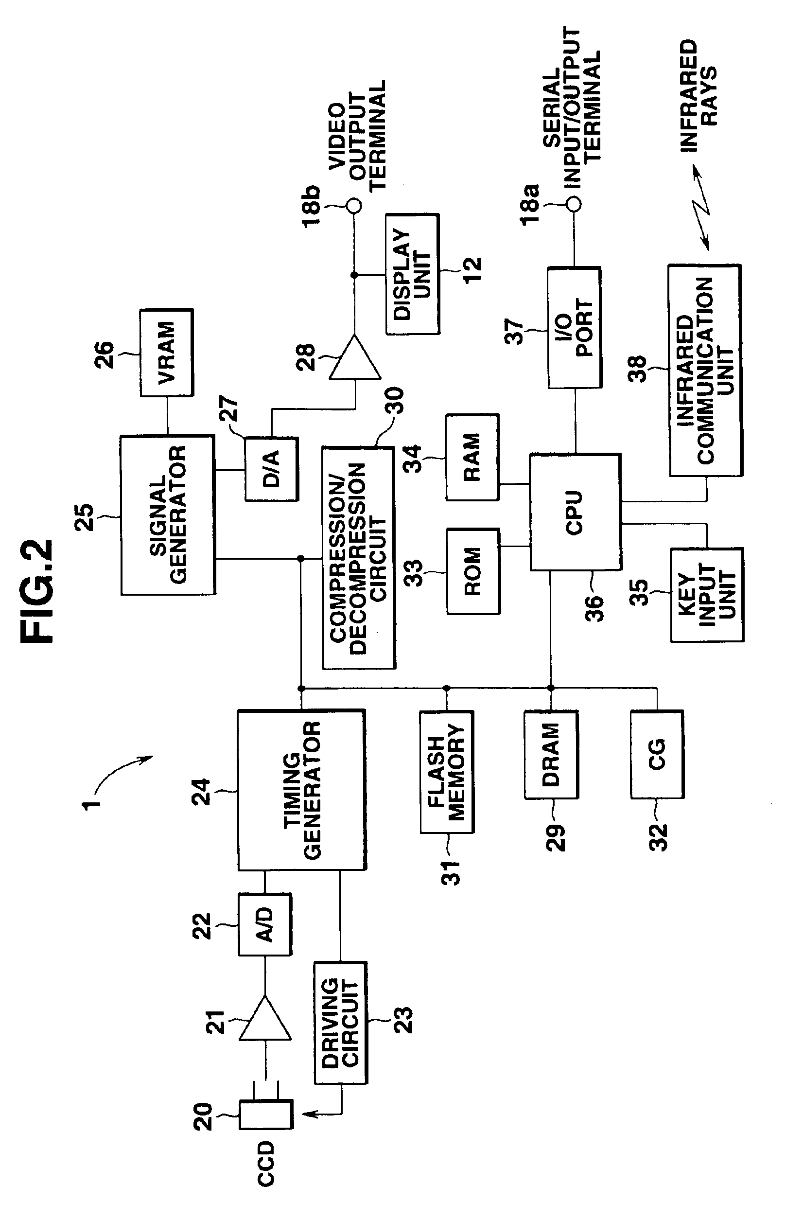 Electronic still camera having photographed image reproducing function
