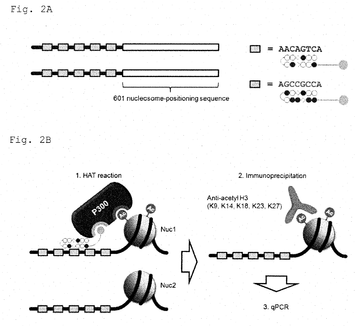 Sequence-selective gene expression regulators