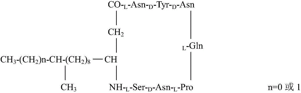 High-efficiency preparation method of Iturin A and homologue of Iturin A