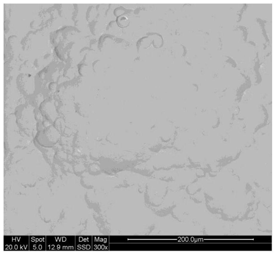 Analysis method for submillimeter-scale defects on the surface of coating materials