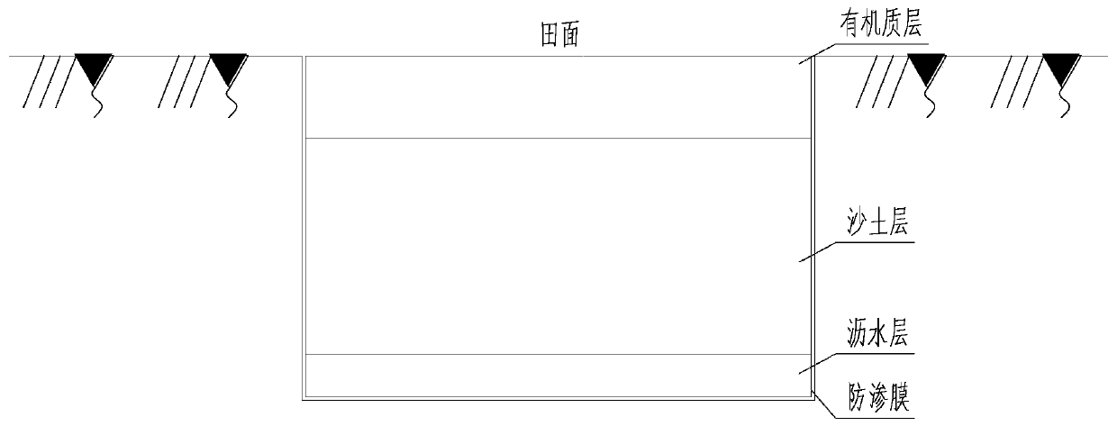 Method for planting rice in desertified soil