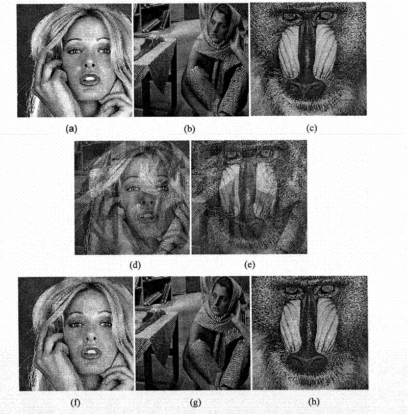 Curvelet representation-based method for image underdetermined blind source separation