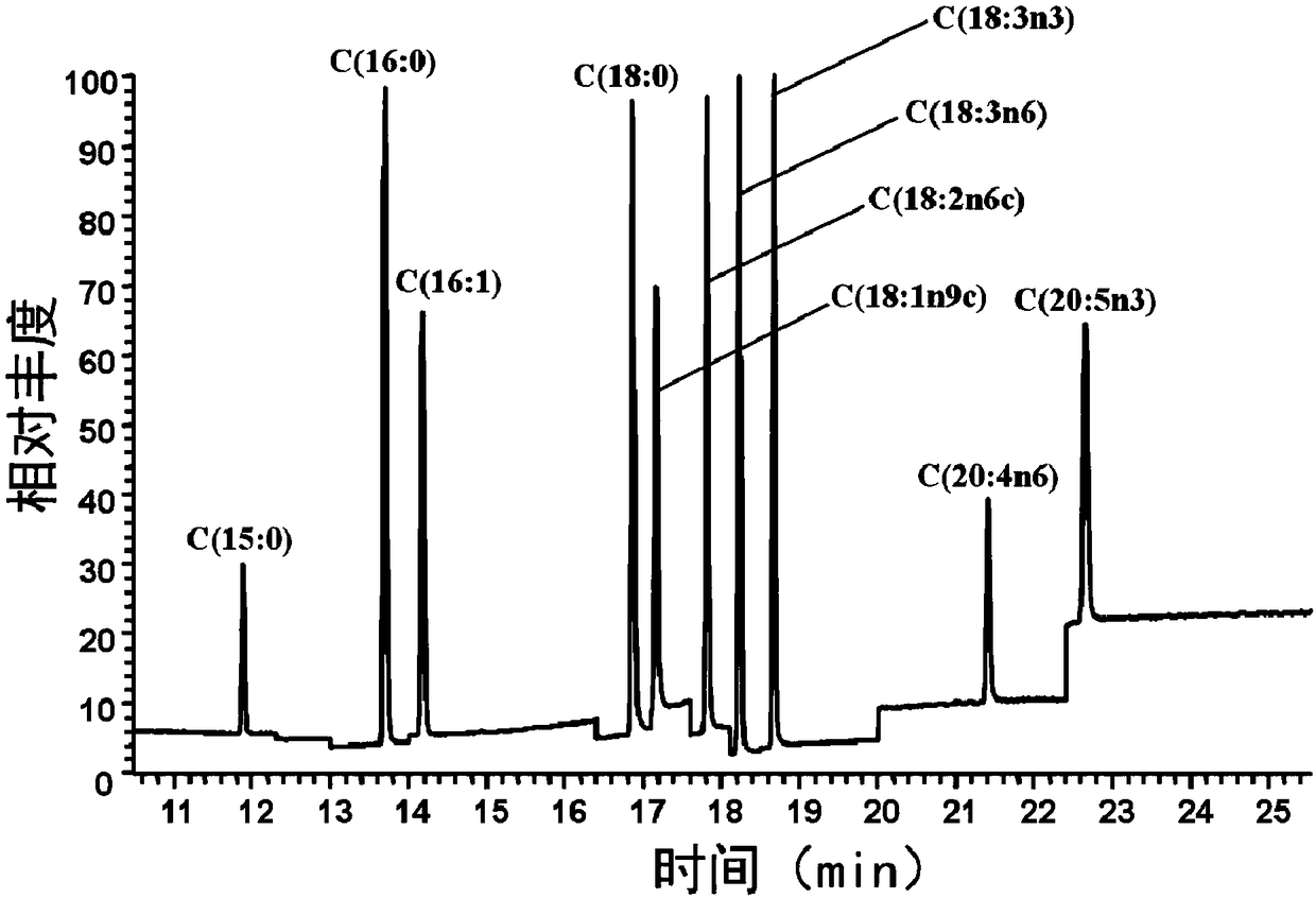 Method for detecting fatty acid content of nematode by gas chromatography and mass spectrometry combined technology