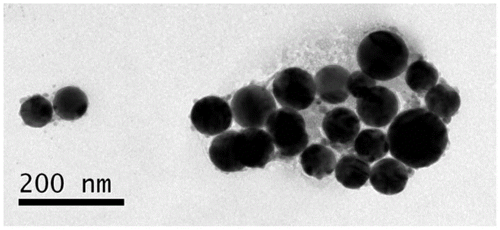 A kind of preparation method of regular spherical silver nanoparticles