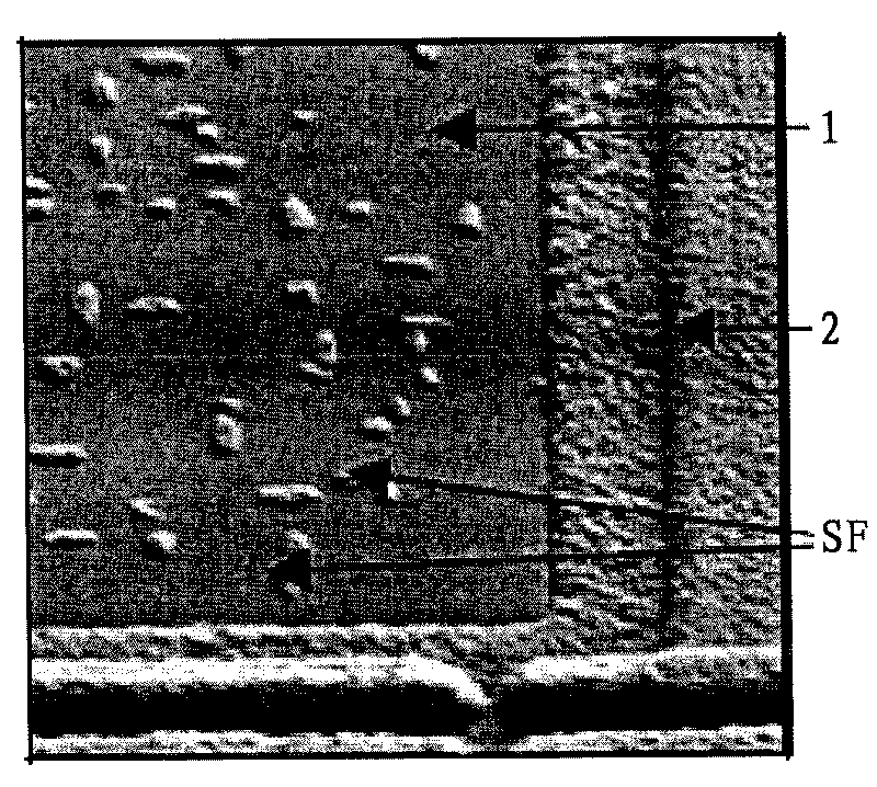 Epitaxial reaction chamber cleaning method capable of improving epitaxial quality and reducing cost