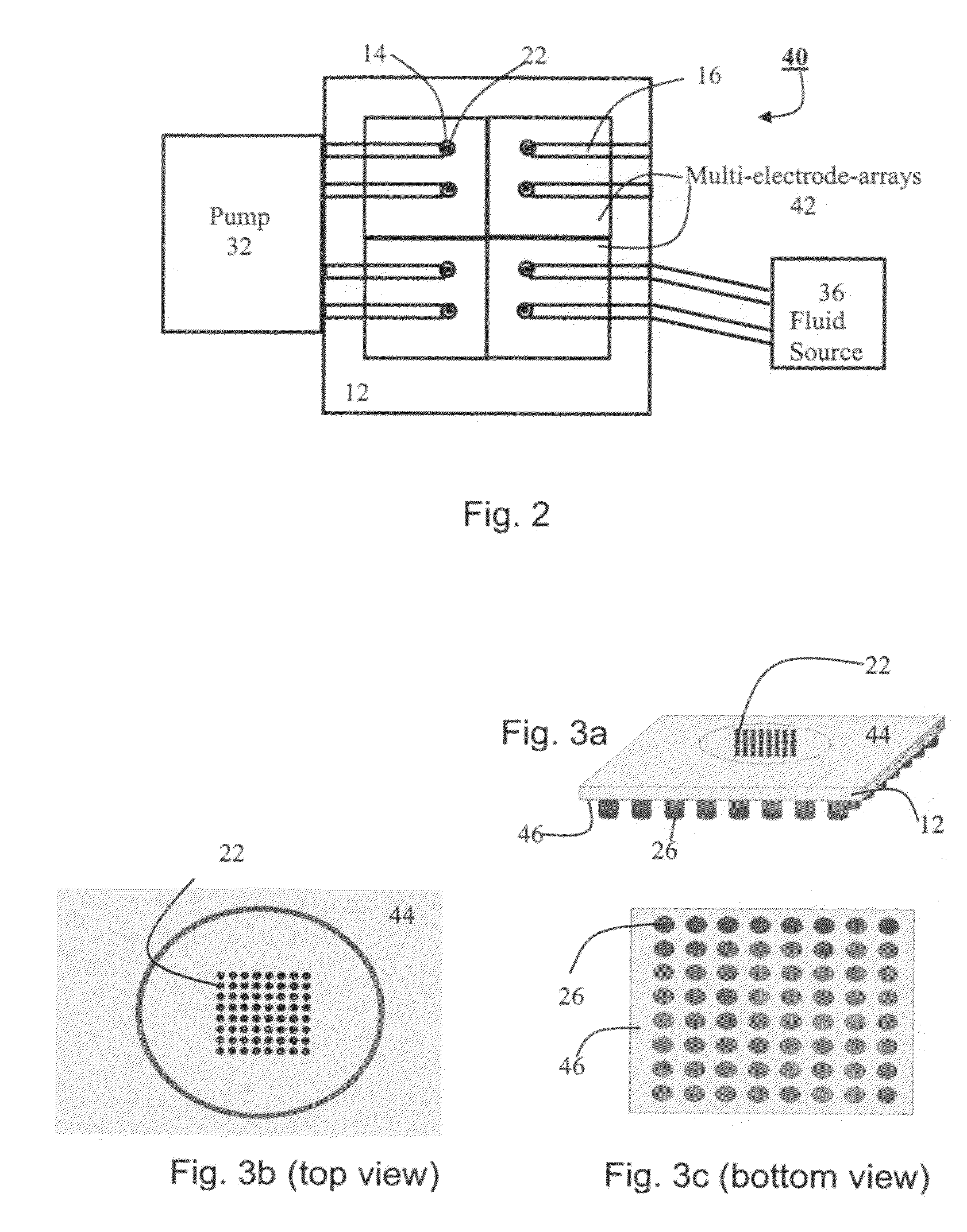 System for and method of positioning cells and determining cellular activity thereof