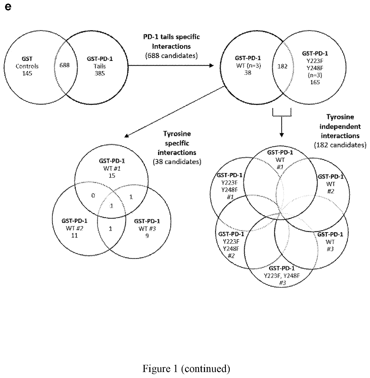 Pd-1 related cancer therapy