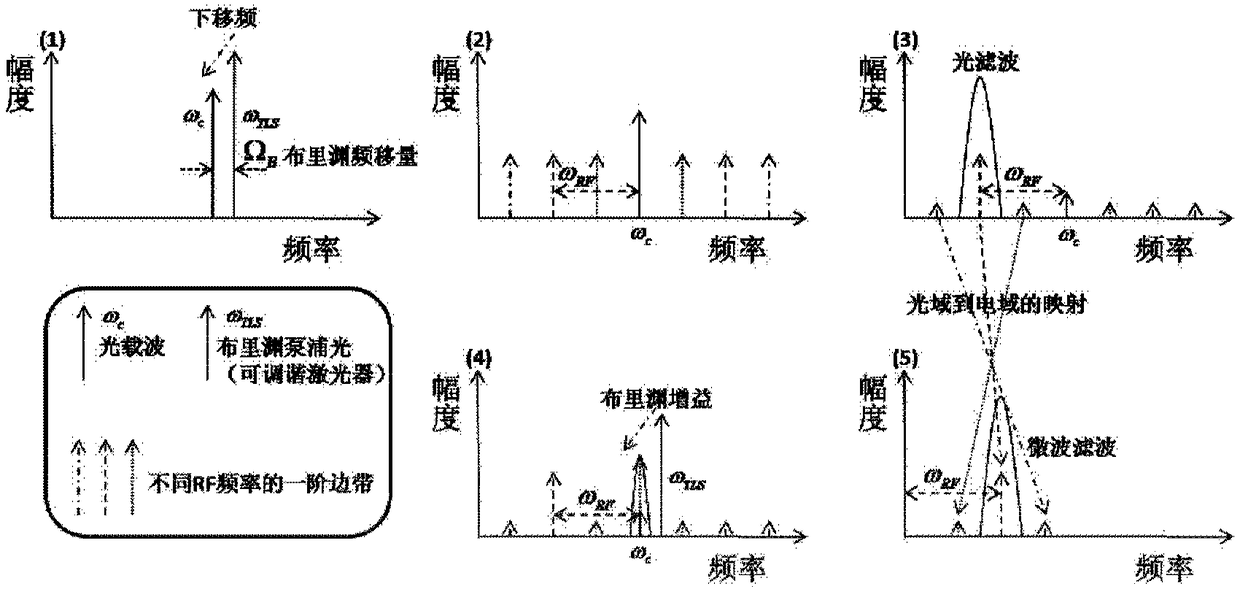 Tunable single-passband microwave photonic filter based on Brillouin optical carrier recovery