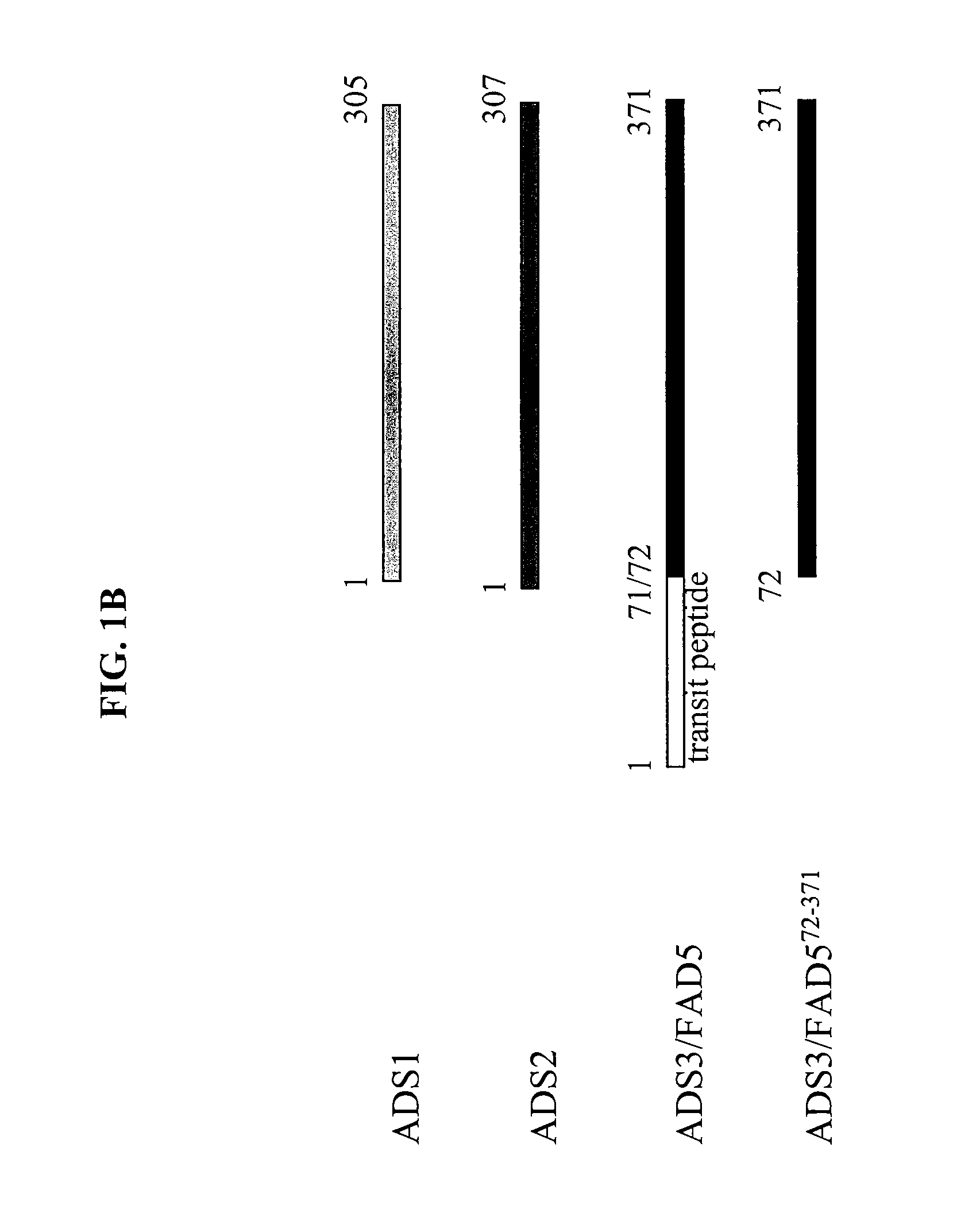 ADS Genes For Reducing Saturated Fatty Acid Levels In Seed Oils