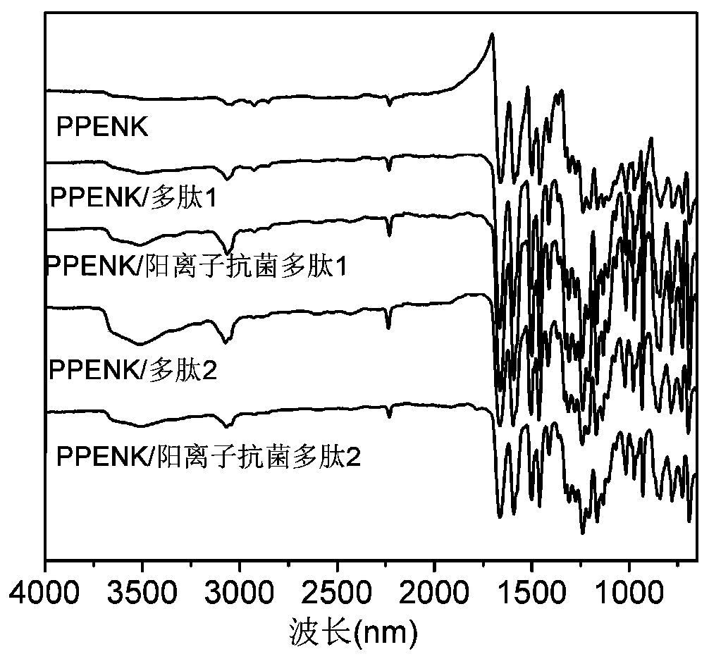 Poly(phthalazinone ether nitrile) having antibacterial properties, and surface modification method of poly(phthalazinone ether nitrile) having antibacterial properties